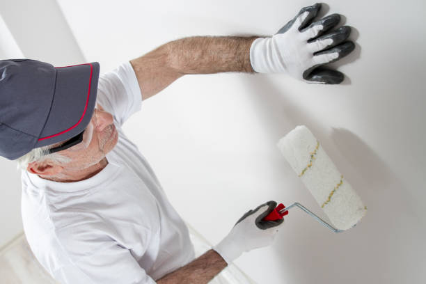 Best Mold Documentation for Insurance Claims  in Pleasant Hill, OH
