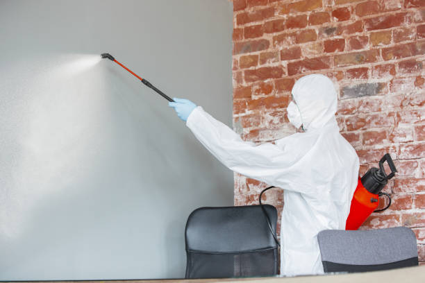 Best Comprehensive Air Testing for Mold Contaminants  in Pleasant Hill, OH