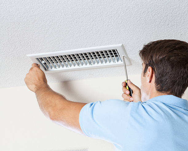 Best Mold Damage Restoration  in Pleasant Hill, OH