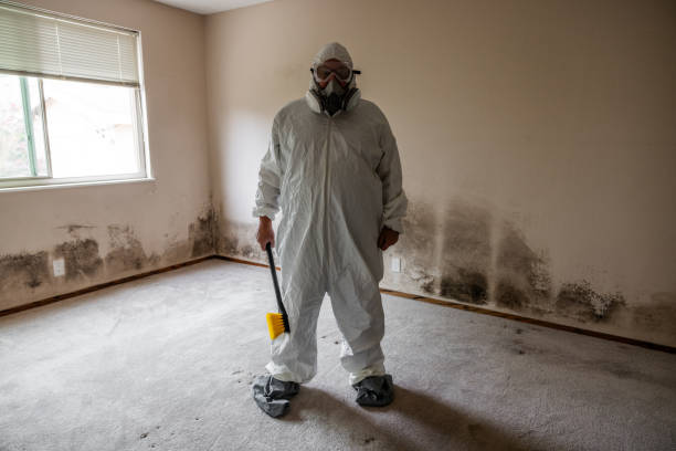 Best Emergency Mold Remediation  in Pleasant Hill, OH